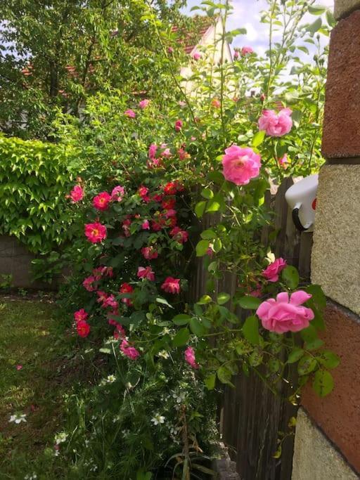 Ferienhaus Mit Garten In Thermennaehe Strebersdorf 外观 照片